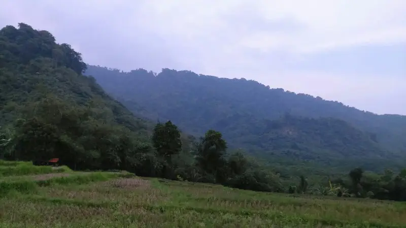 Kampung Tahfidz Jatiluhur 8
