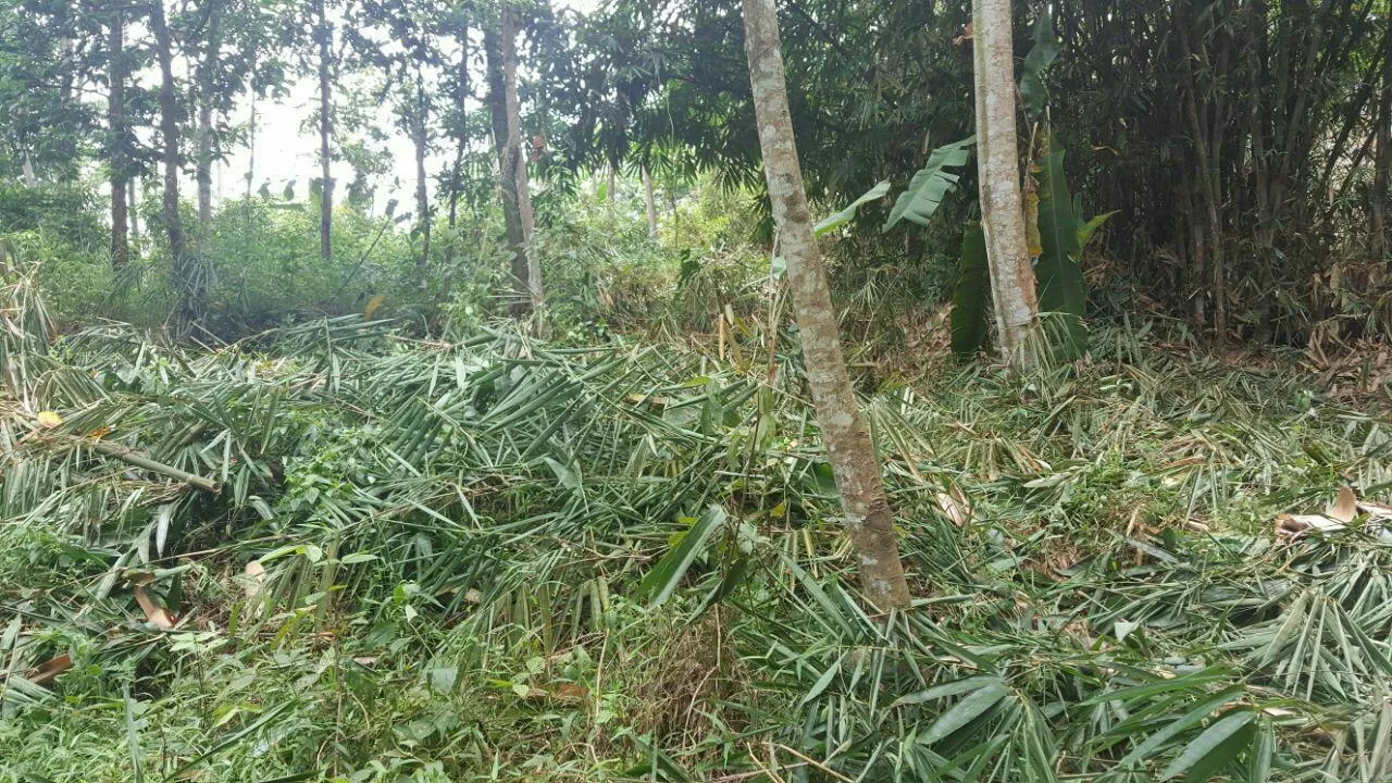 lokasi madania village cigudeg