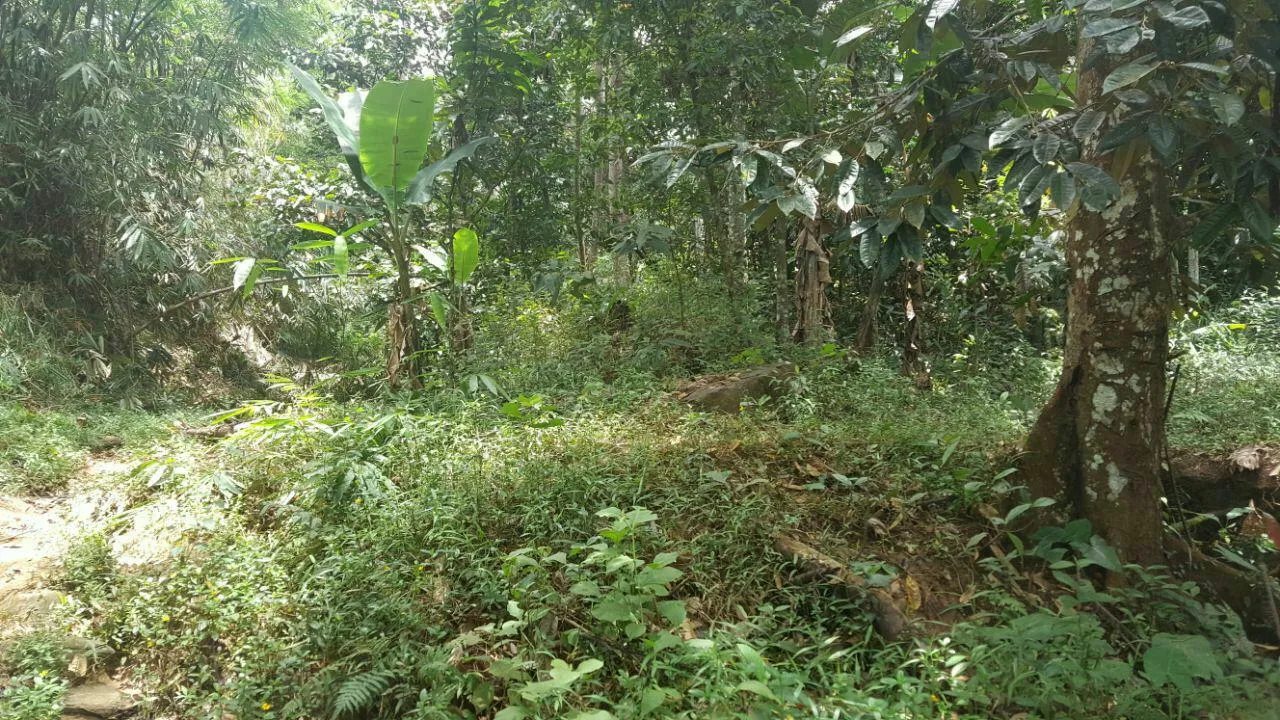 kavling madania village