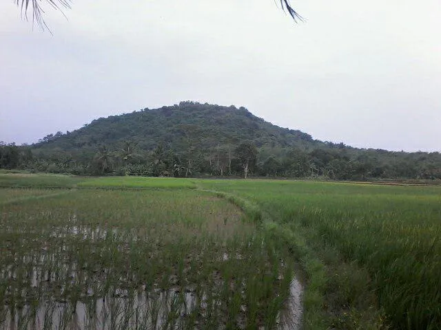 lokasi aljami Bee Garden