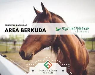 Area Berkuda